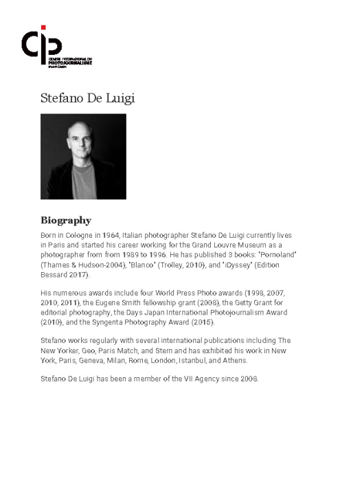 Biography Stefano De Luigi