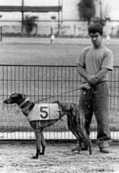 The last greyhound racing track of Spain