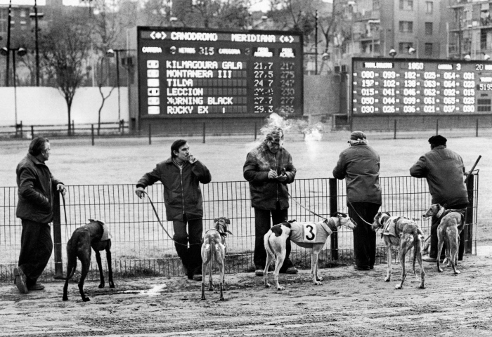 The last greyhound racing track of Spain.
