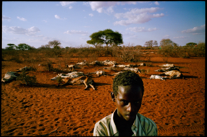 La sécheresse dans la corne d'Afrique